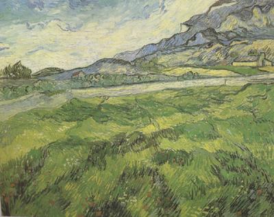 Vincent Van Gogh Green Wheat Field (nn04) china oil painting image